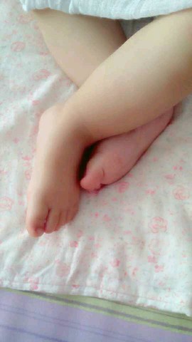 journal_insert_pic_386292448