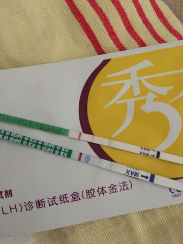 journal_insert_pic_386153302