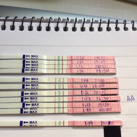 journal_insert_pic_387883964