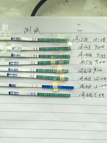 journal_insert_pic_389179469
