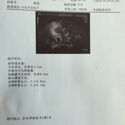 journal_insert_pic_389134498