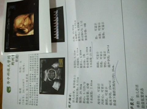 journal_insert_pic_389093067