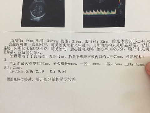 journal_insert_pic_390483950