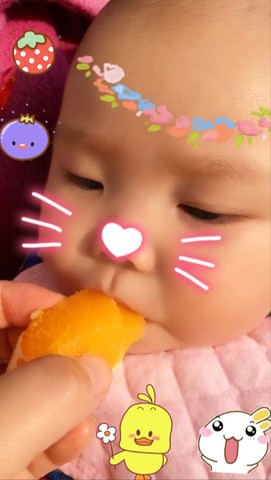journal_insert_pic_390512482