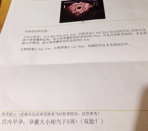 journal_insert_pic_391063979