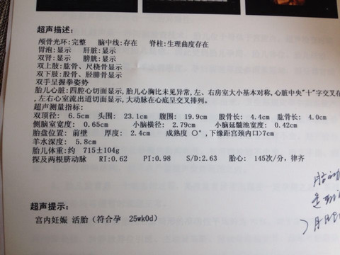 journal_insert_pic_390809032