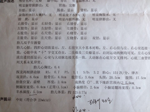 journal_insert_pic_390809019