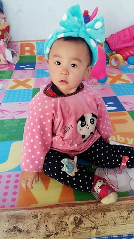 journal_insert_pic_391157133