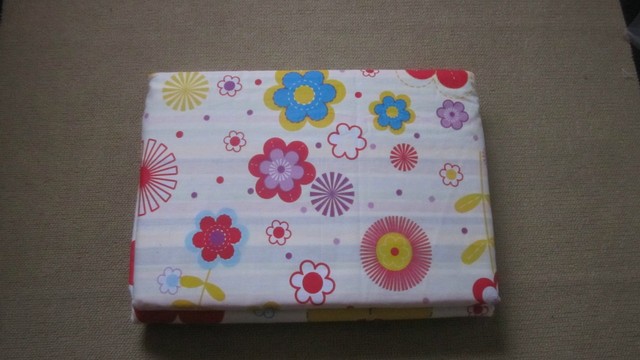 journal_insert_pic_391135561