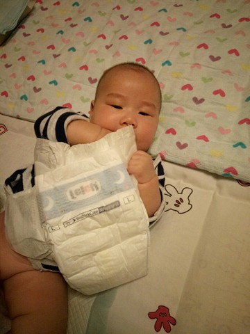 journal_insert_pic_391002104