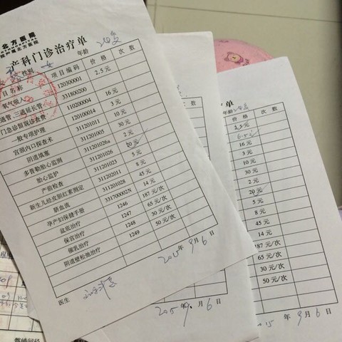 journal_insert_pic_391185119
