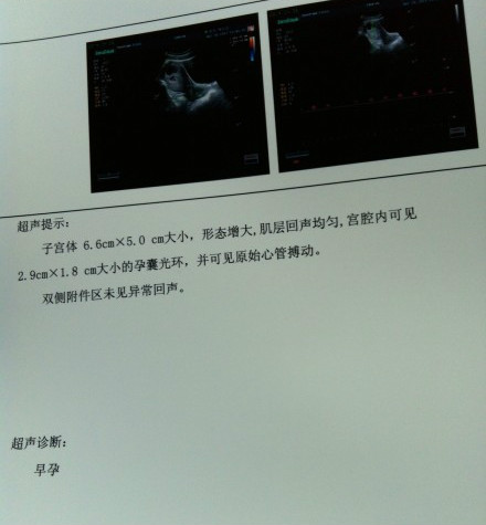 journal_insert_pic_391340627