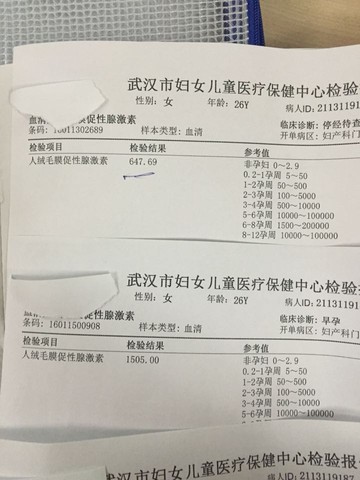 journal_insert_pic_392220785