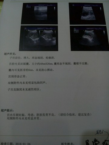 journal_insert_pic_394150197