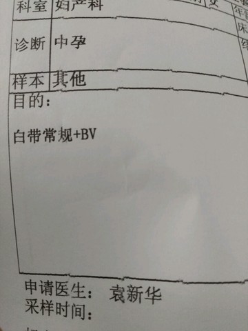 journal_insert_pic_394640987