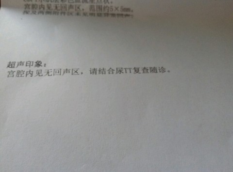 journal_insert_pic_394740005