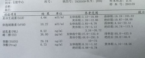 journal_insert_pic_396042665