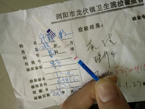 journal_insert_pic_395659130