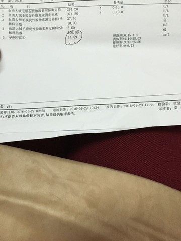 journal_insert_pic_397258255