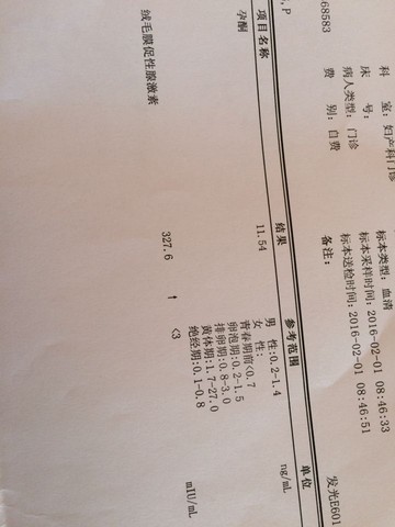 journal_insert_pic_398461141