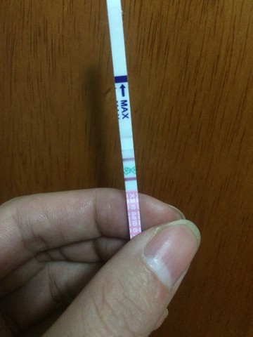 journal_insert_pic_398520194