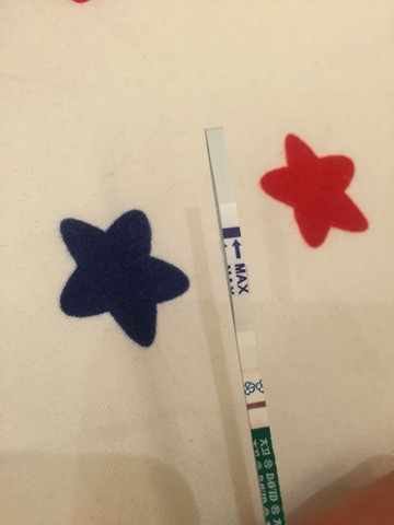 journal_insert_pic_399186985