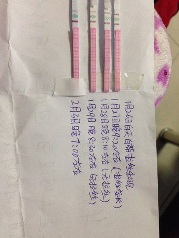 journal_insert_pic_400022925