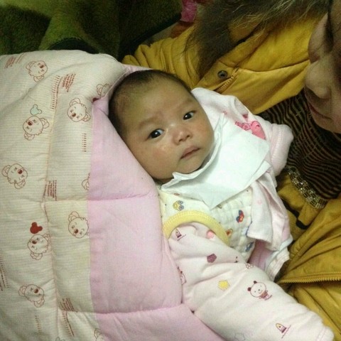 journal_insert_pic_400016537