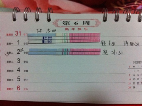journal_insert_pic_399888830