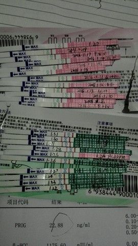 journal_insert_pic_399701203