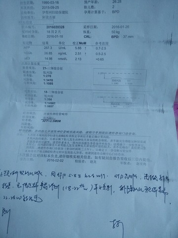 journal_insert_pic_400389124