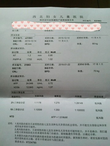 journal_insert_pic_400360733
