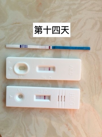 journal_insert_pic_400941341