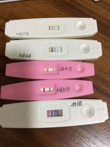 journal_insert_pic_401839241