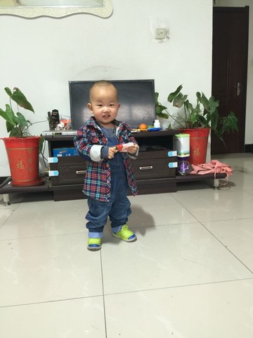 journal_insert_pic_402818535