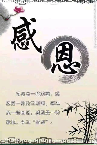 journal_insert_pic_403202439