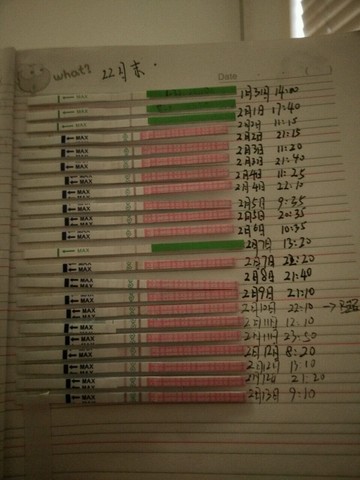 journal_insert_pic_404805142