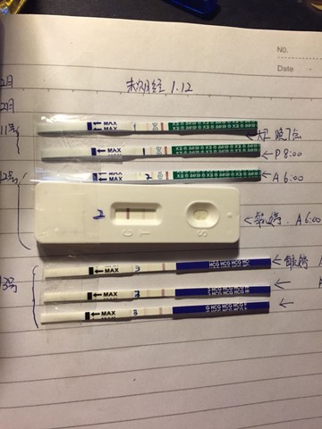 journal_insert_pic_405758663