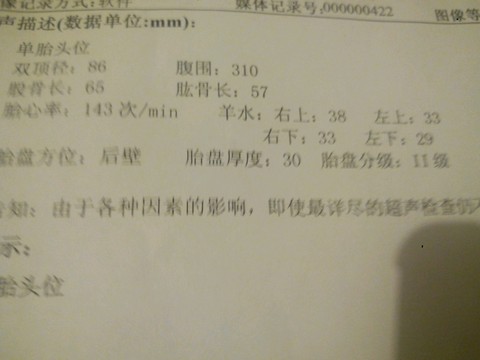journal_insert_pic_407025940