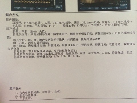 journal_insert_pic_406699805
