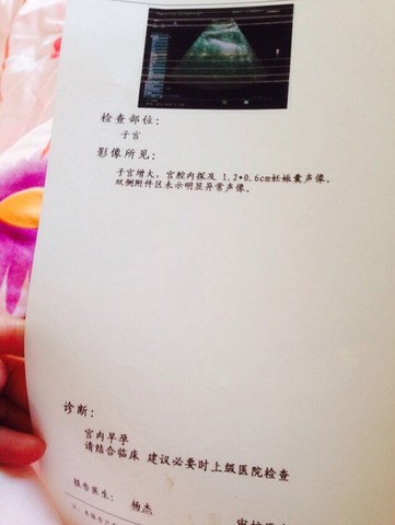 journal_insert_pic_407079747