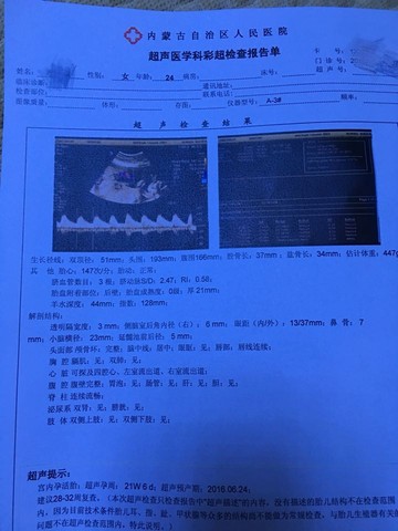 journal_insert_pic_408499085