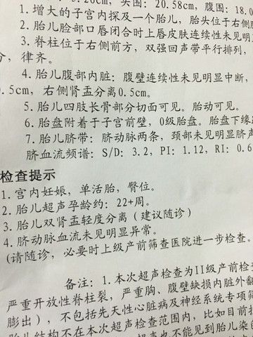 journal_insert_pic_408461912