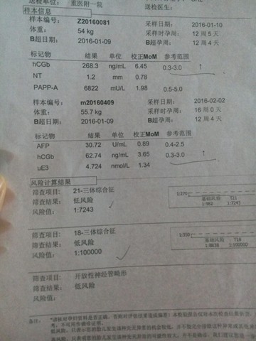 journal_insert_pic_409596943