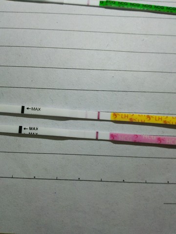 journal_insert_pic_409272284