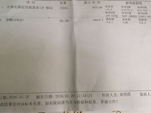 journal_insert_pic_409615205