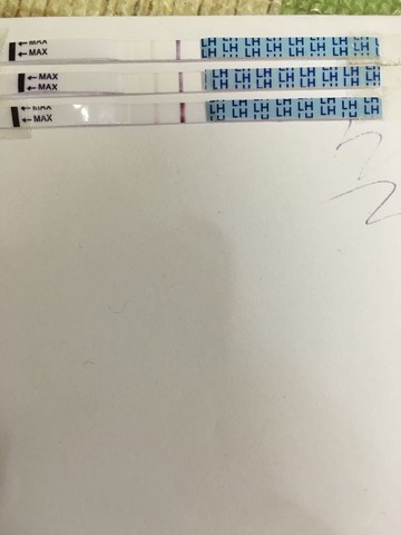 journal_insert_pic_409884245