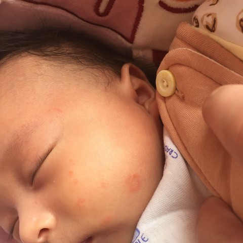 journal_insert_pic_410742341