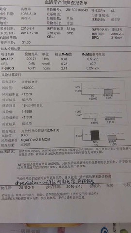 journal_insert_pic_411383421