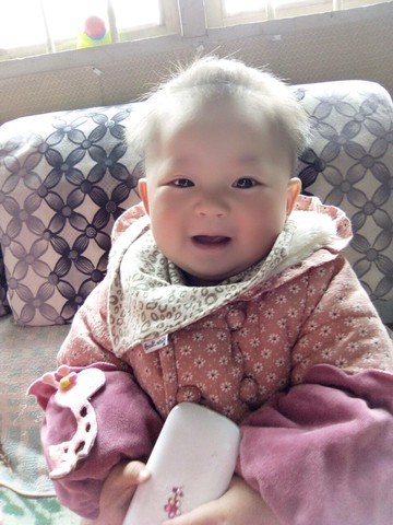 journal_insert_pic_411654146
